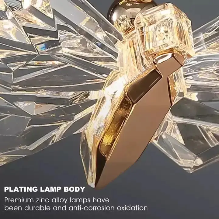 WhatsApp Image 2025-04-01 at 10.43.10 PM.webp