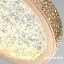 WhatsApp Image 2025-04-01 at 10.43.25 PM.webp